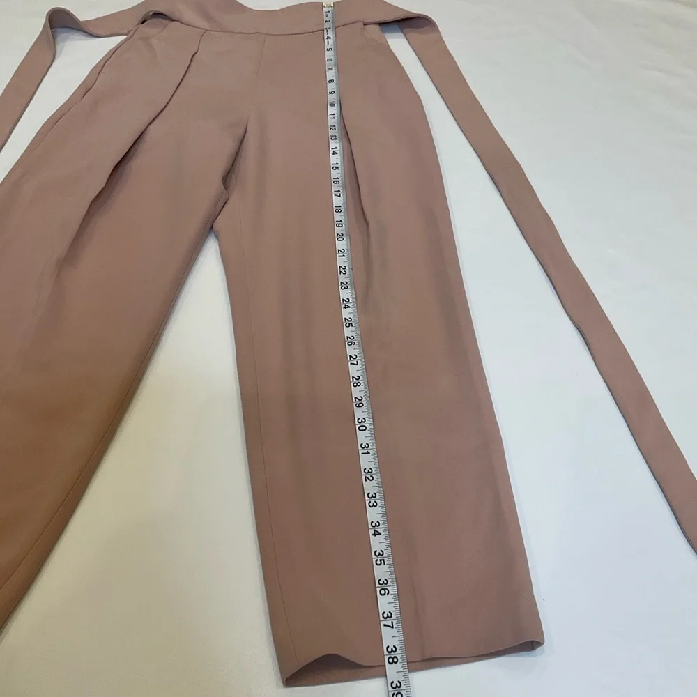 ARITZIA Wilfred Feuille  Wrap Belted Pleated Pants in Blush Size 4